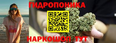 мет Ливны