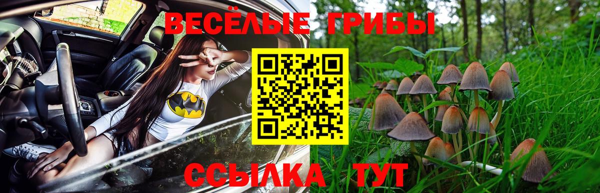 Галлюциногенные грибы мухоморы  Вход с VPN  Елабуга  Галлюциногенные грибы MAGIC MUSHROOMS 